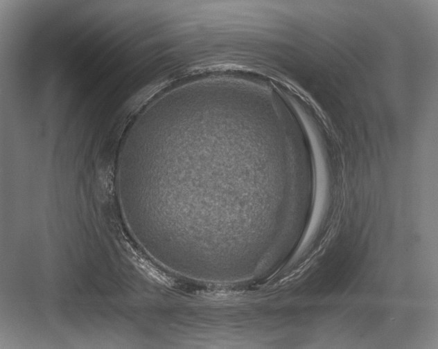 X0000084030785200702161433