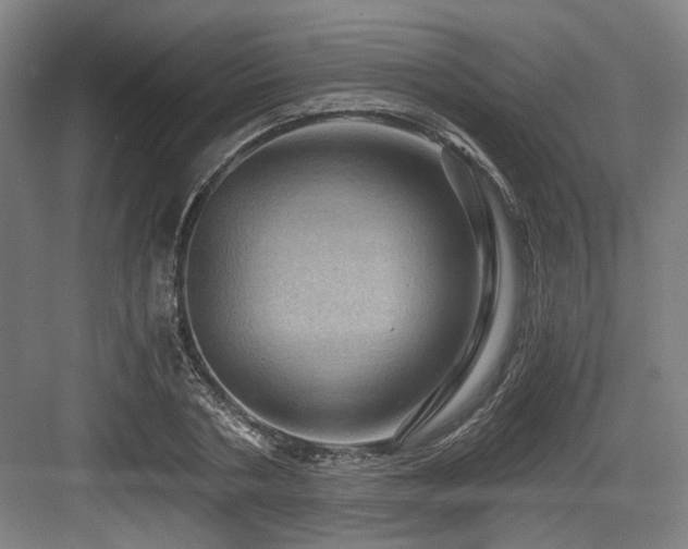 X0000084030786200702161433