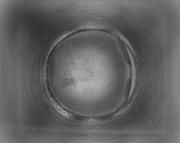 X0000084030787200702161433