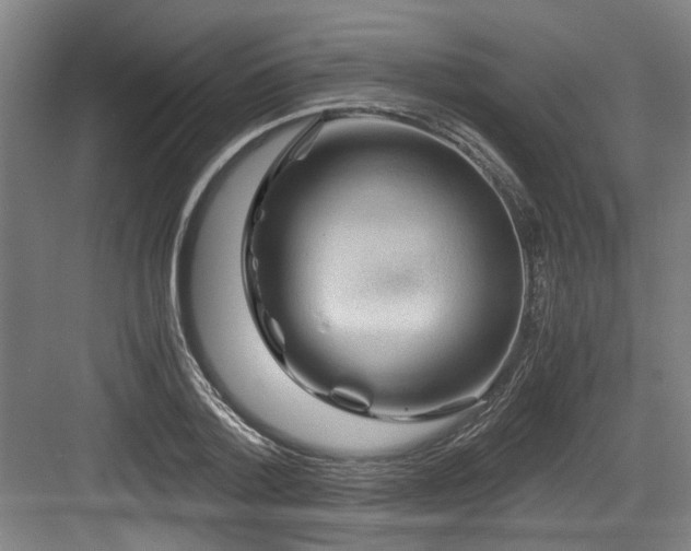 X0000084030788200702161433