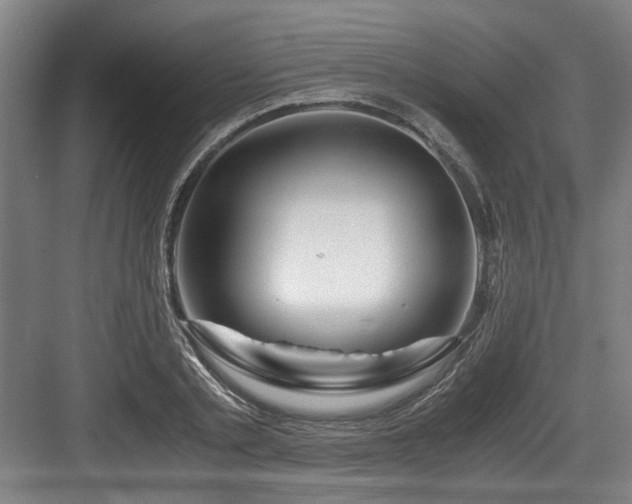 X0000084030789200702161433