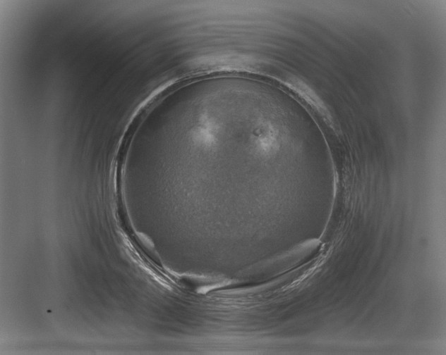 X0000084030790200702161433