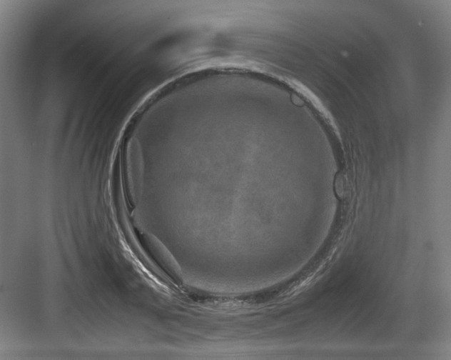 X0000084030791200702161433