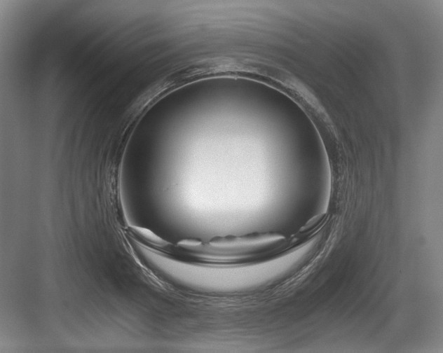 X0000084030793200702161433