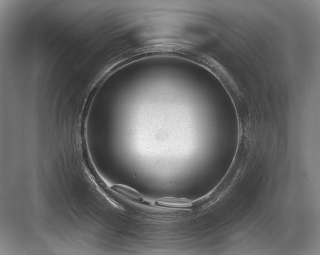 X0000084030794200702161433