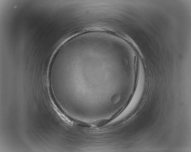 X0000084030795200702161433