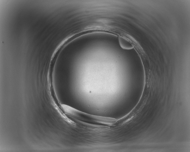 X0000084030796200702161433