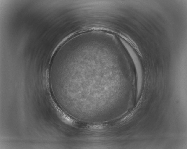 X0000084030798200702161433