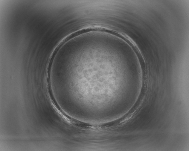 X0000084030799200702161433