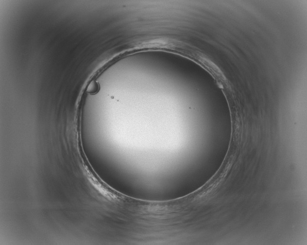 X0000084030800200702161433