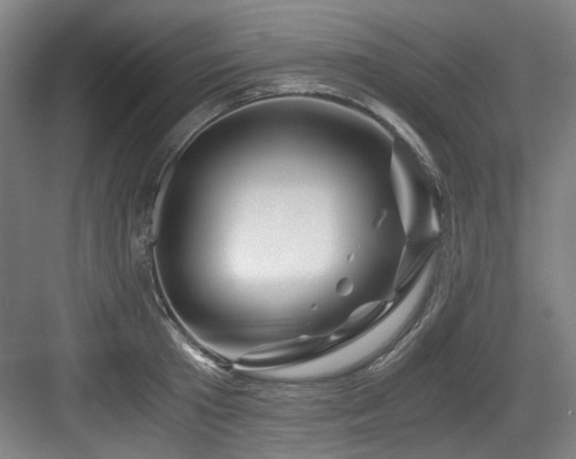 X0000084030801200702161433