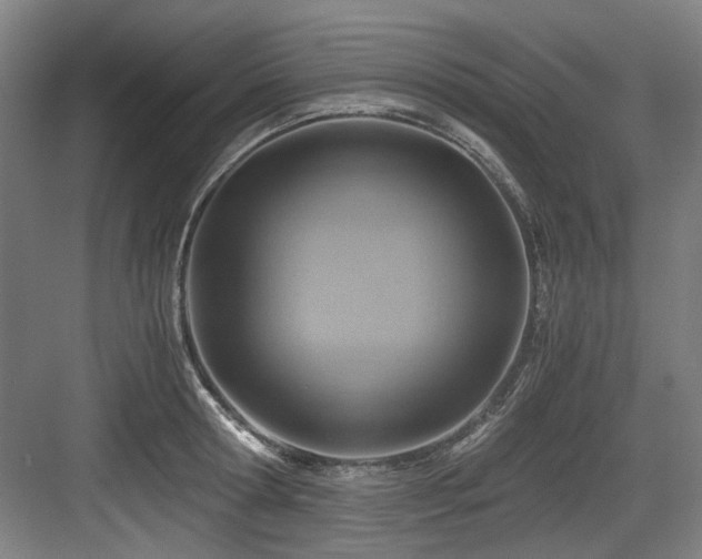 X0000084030802200702161433