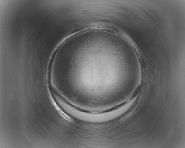 X0000084030803200702161433