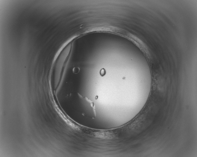 X0000084030804200702161433