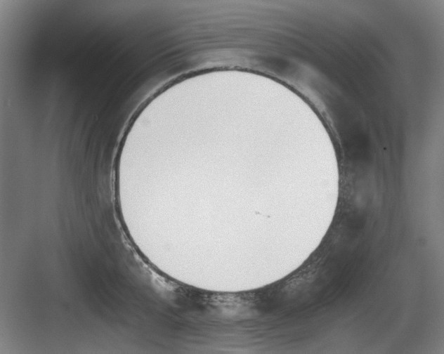 X0000084030807200702161433