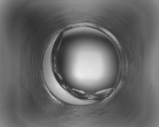 X0000084030809200702161433