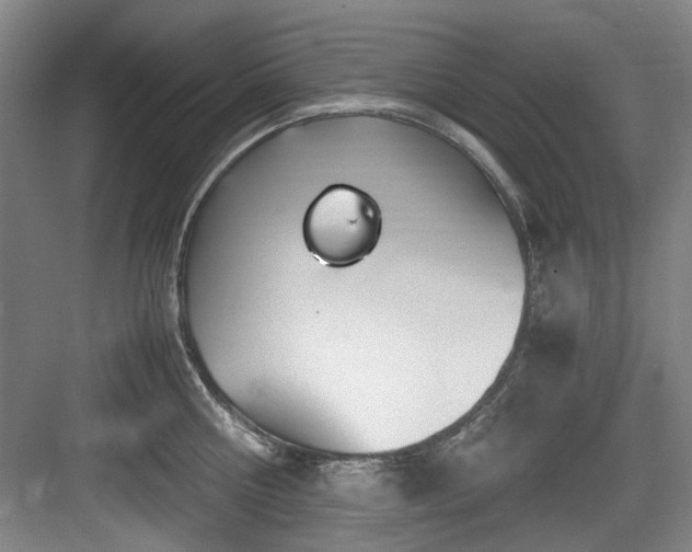 X0000084030810200702161433