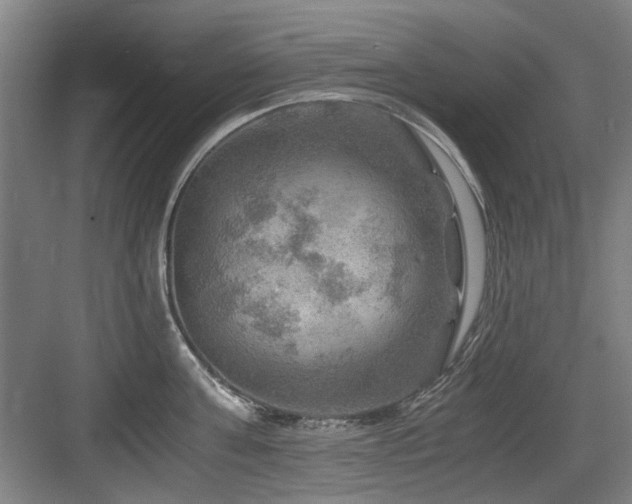 X0000084030811200702161433