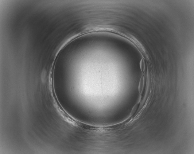 X0000084030814200702161433