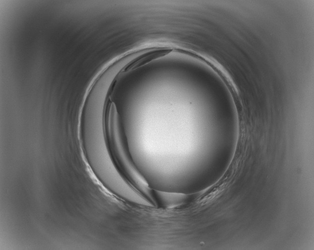 X0000084030815200702161433