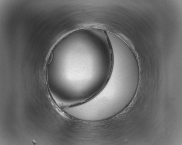 X0000084030816200702161433