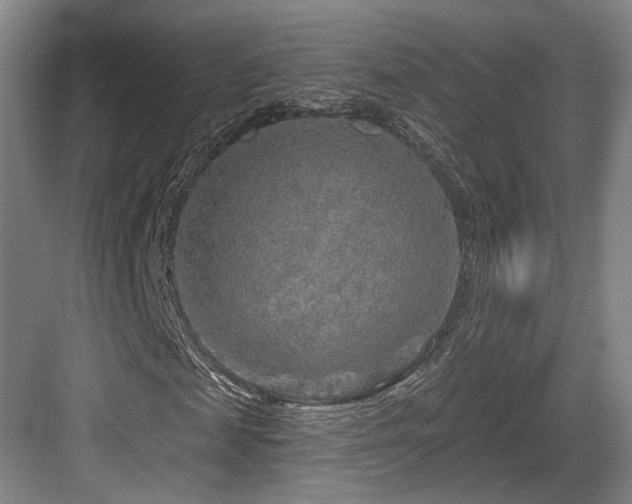 X0000084030817200702161432