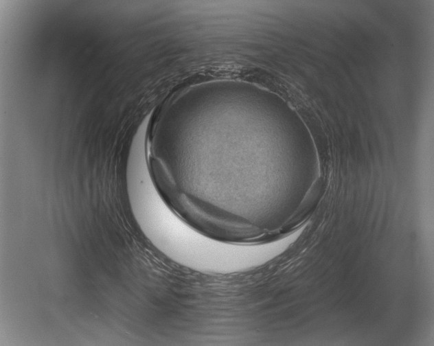 X0000084030818200702161432