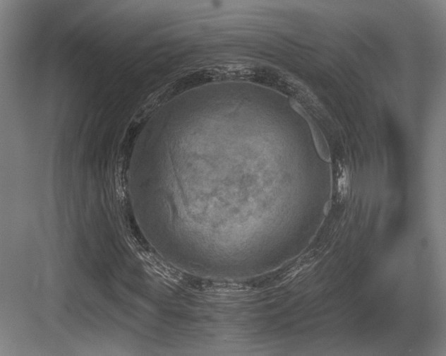 X0000084030819200702161432