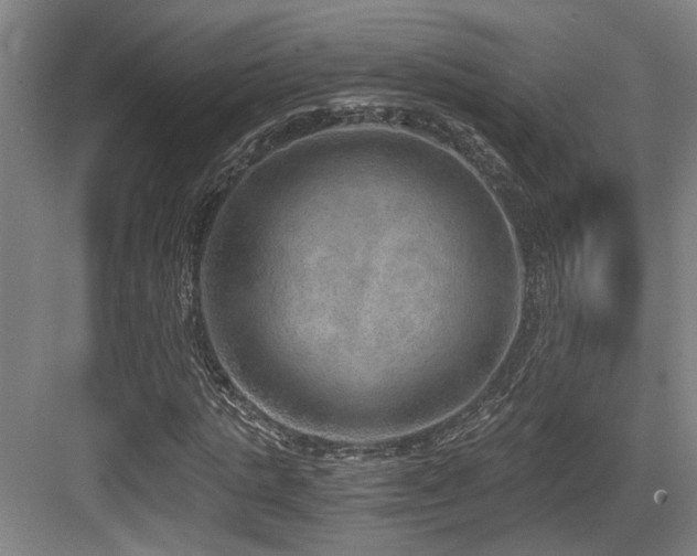 X0000084030821200702161432