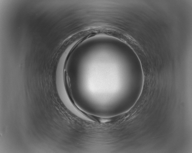 X0000084030822200702161432