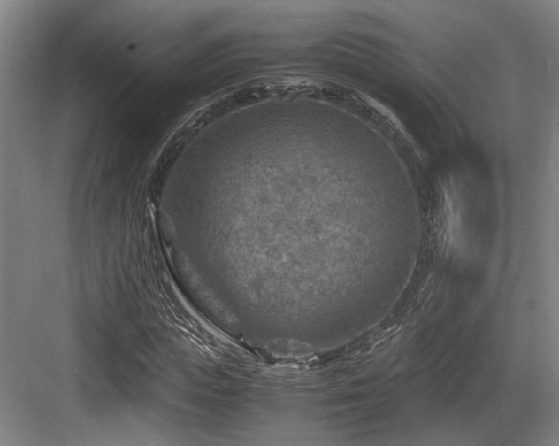 X0000084030823200702161432