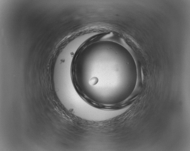 X0000084030824200702161432