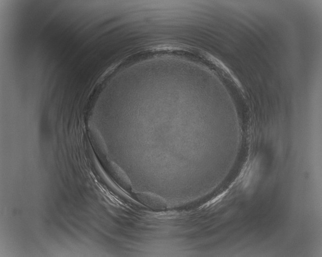 X0000084030825200702161432