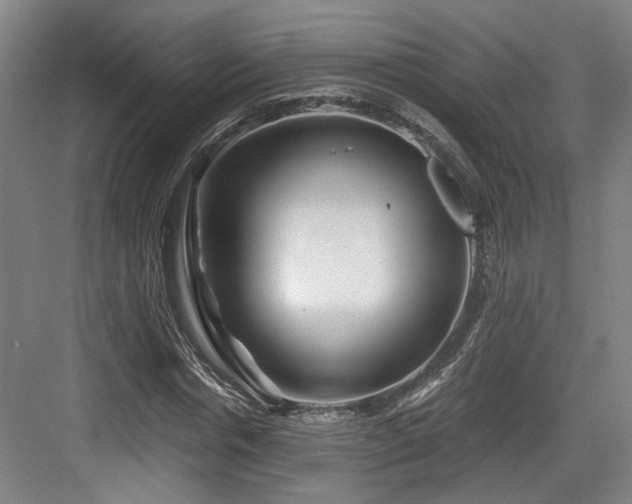 X0000084030826200702161432