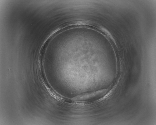 X0000084030827200702161432