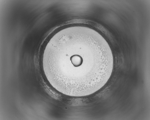 X0000084030828200702161432