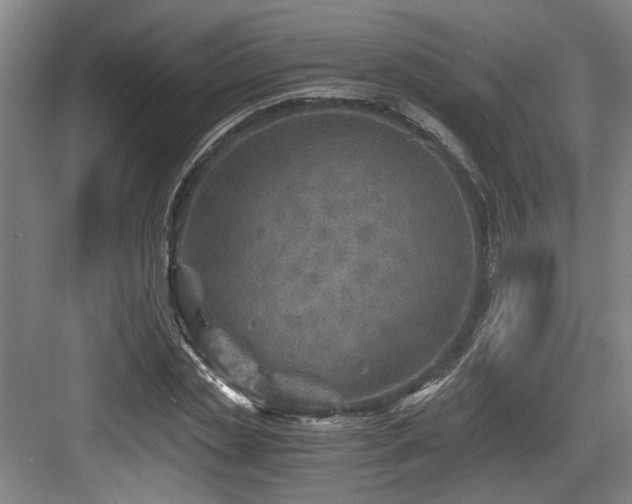 X0000084030829200702161432