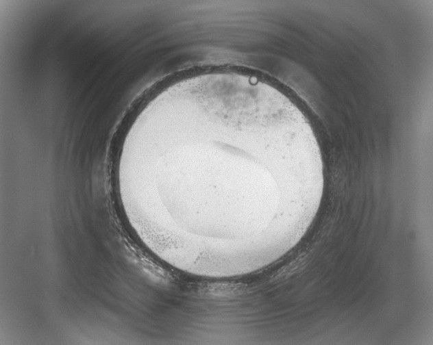 X0000084030832200702161432