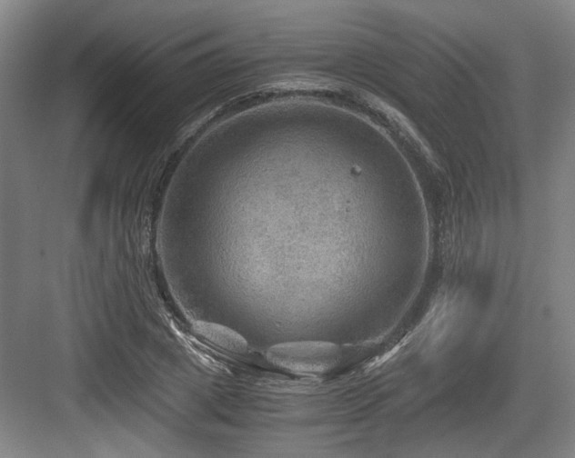 X0000084030833200702161432