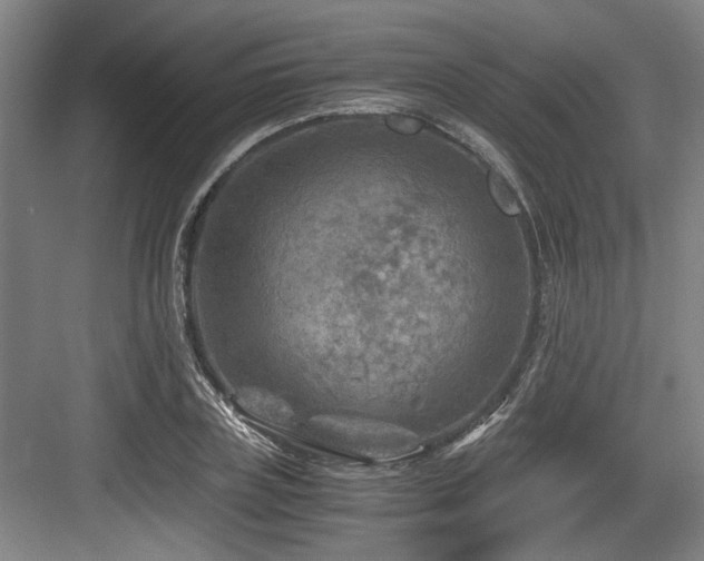 X0000084030835200702161432