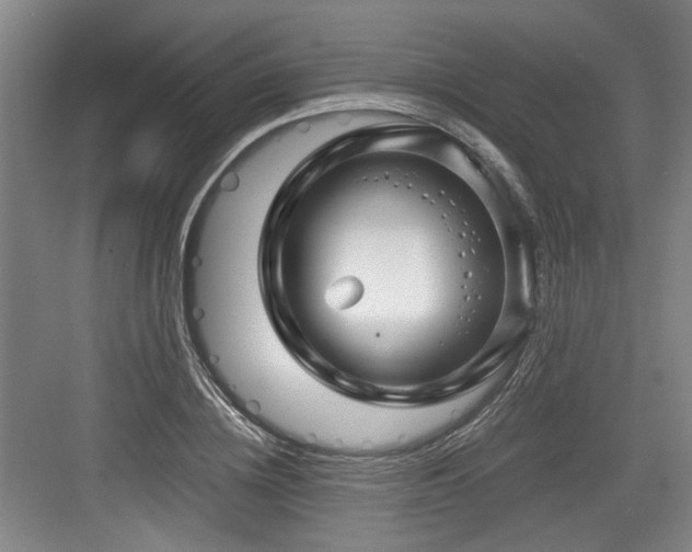 X0000084030836200702161432