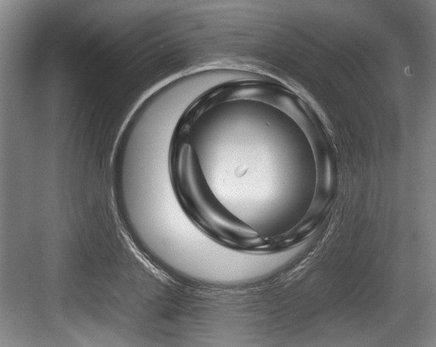 X0000084030838200702161432