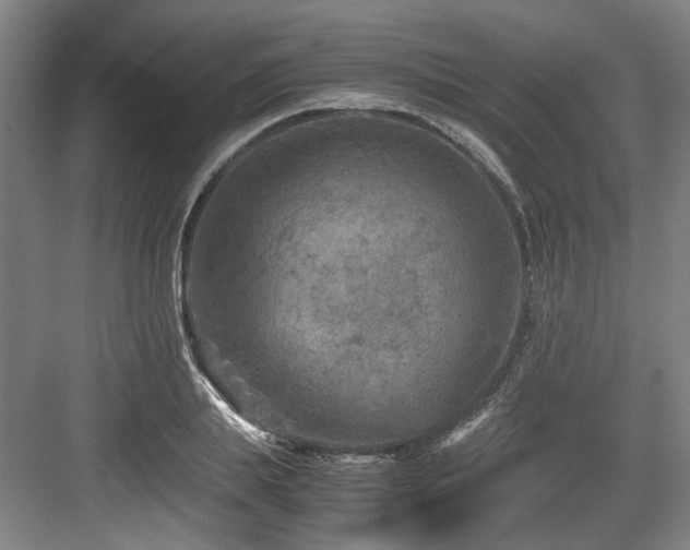 X0000084030839200702161432