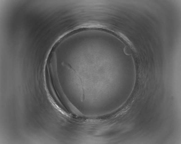 X0000084030840200702161432