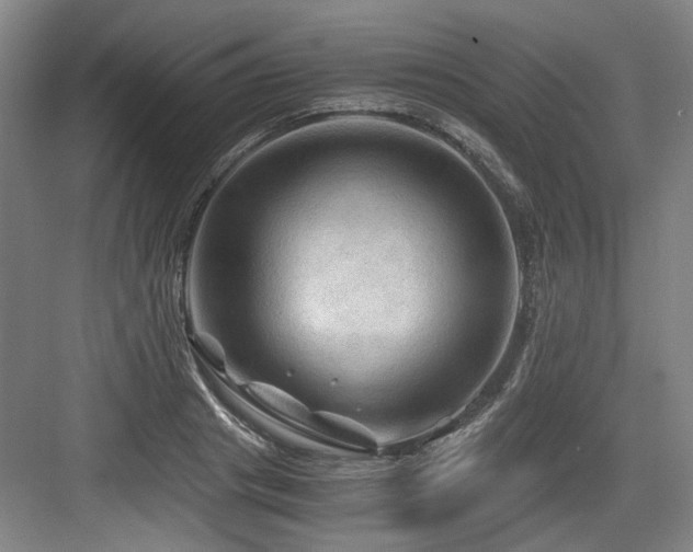 X0000084030841200702161432