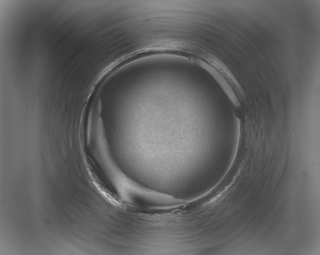 X0000084030842200702161432