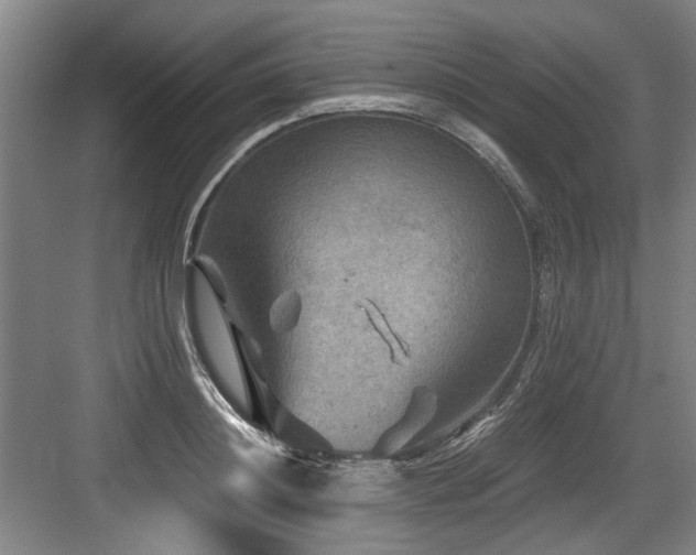 X0000084030844200702161432