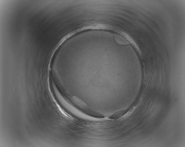 X0000084030845200702161432