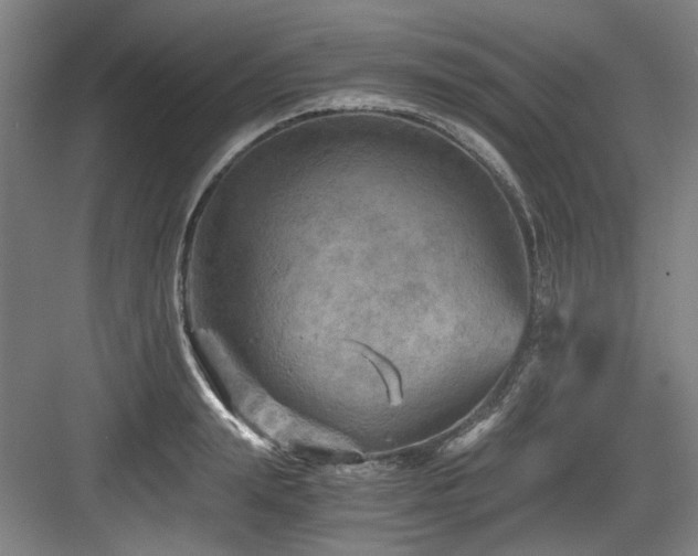 X0000084030847200702161432