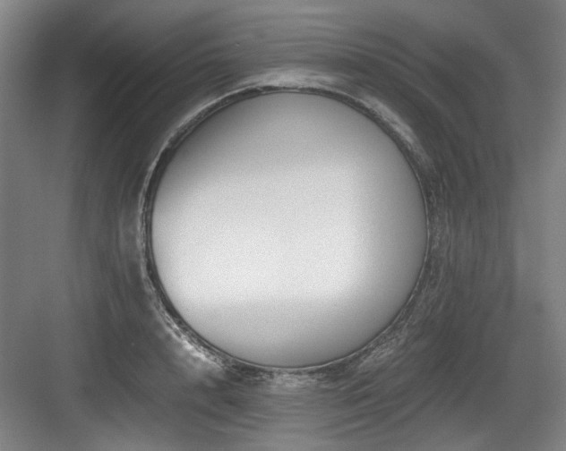 X0000084030848200702161432